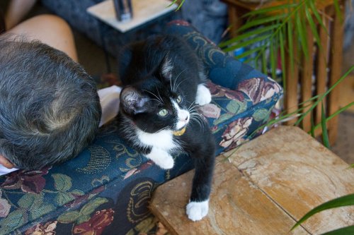 Misha_2008-07-10_IMG_0064